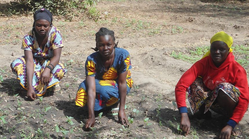 Próxima expedición de la Fundación Iluminafrica