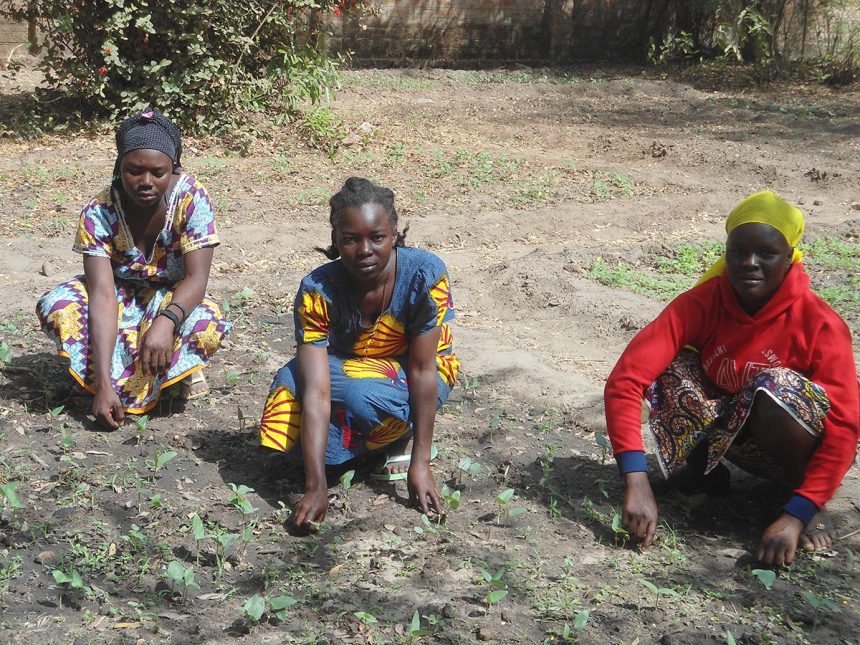 Próxima expedición de la Fundación Iluminafrica